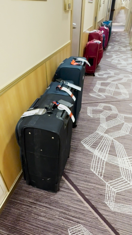 luggage-1-of-1.jpg